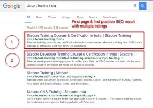 sitecore training india seo results
