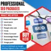 Professional SEO Packages